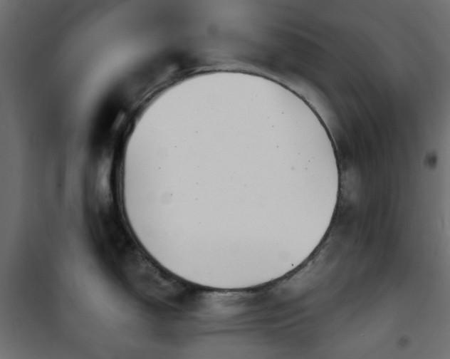 X0000101441150200807141300