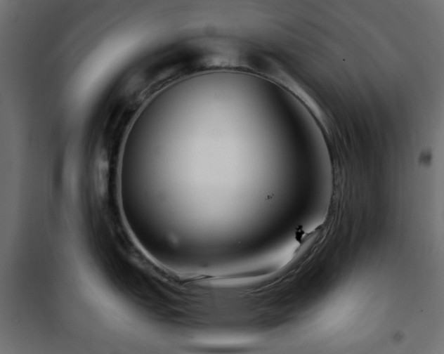 X0000101441151200807141300