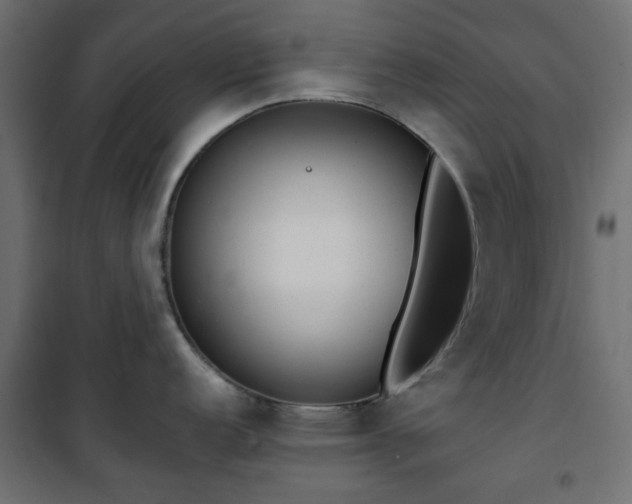 X0000101441152200807141300