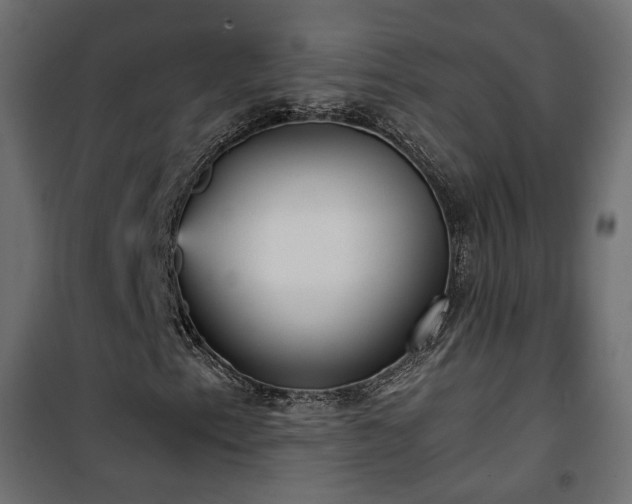 X0000101441153200807141259