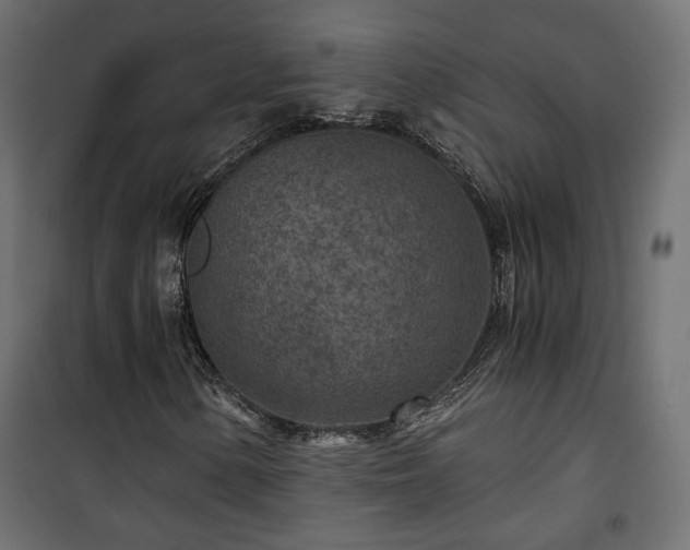 X0000101441154200807141259