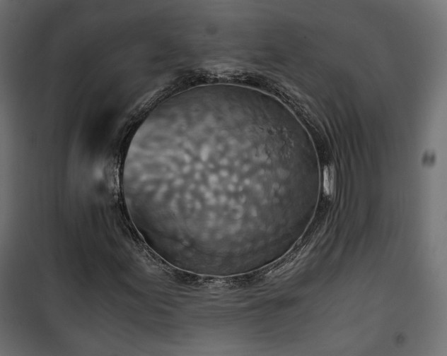 X0000101441155200807141259