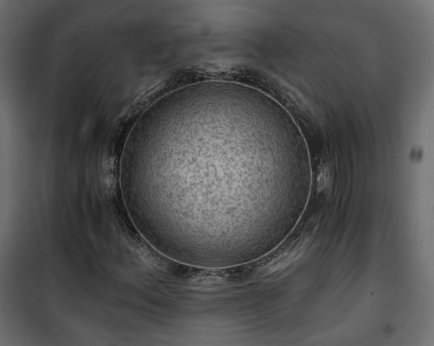 X0000101441156200807141259