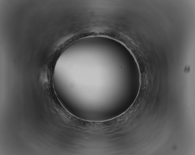 X0000101441158200807141259