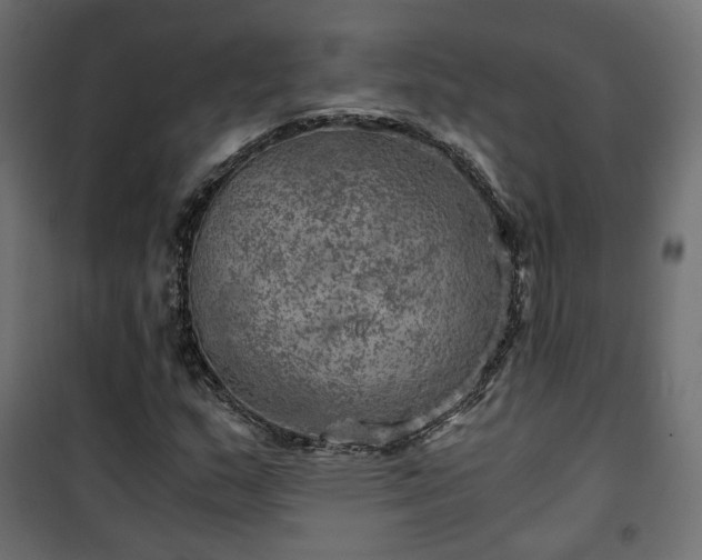 X0000101441159200807141259