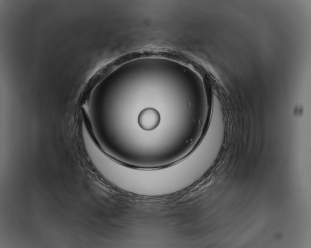 X0000101441160200807141259