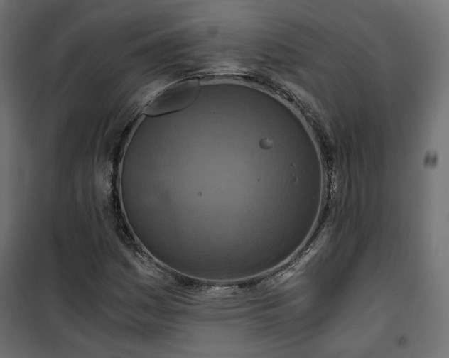 X0000101441161200807141259