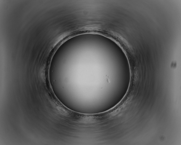 X0000101441162200807141259