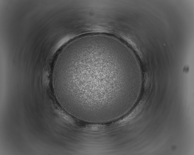 X0000101441163200807141259