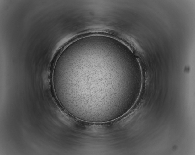 X0000101441164200807141259