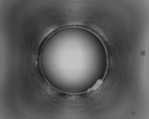 X0000101441165200807141259