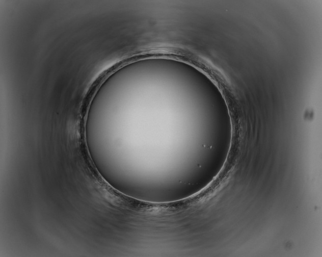 X0000101441166200807141259