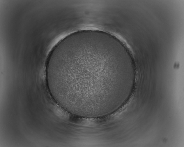 X0000101441167200807141259