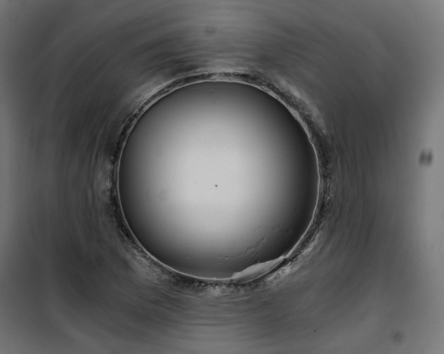 X0000101441169200807141259