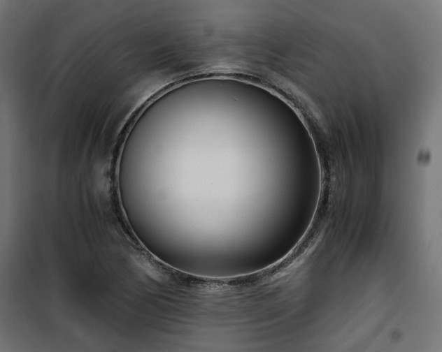 X0000101441170200807141259