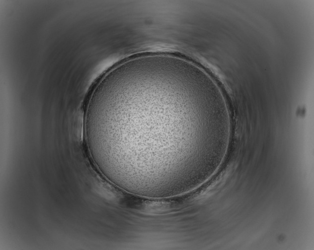 X0000101441171200807141259