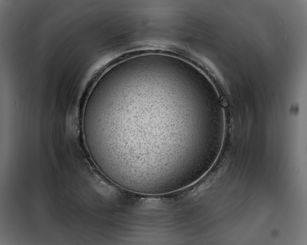 X0000101441172200807141259