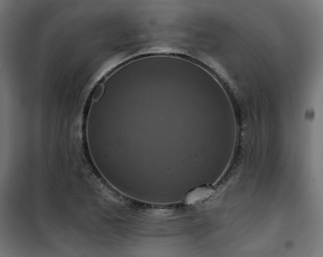 X0000101441173200807141259