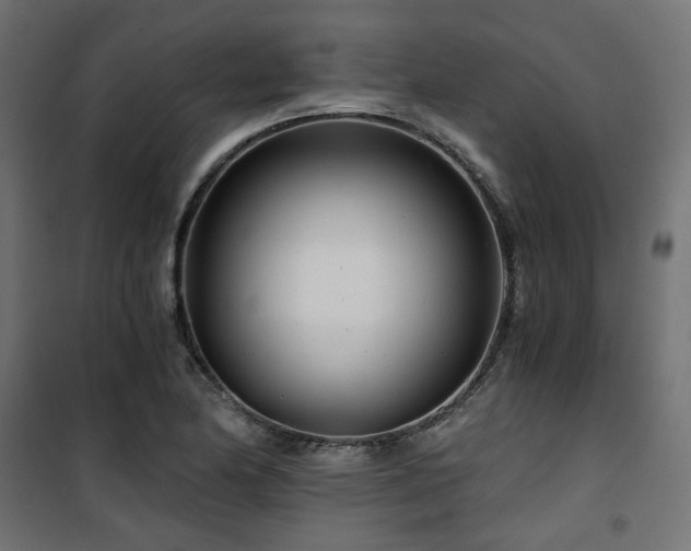 X0000101441174200807141259