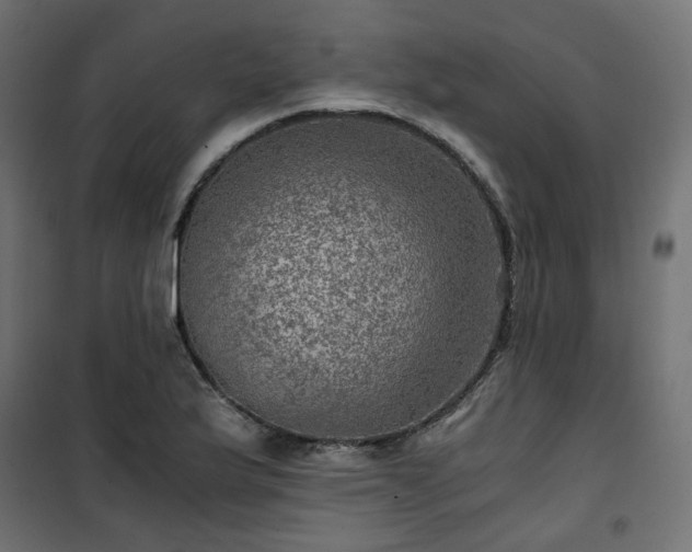 X0000101441175200807141259