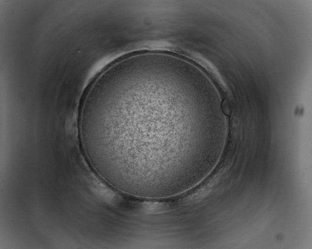 X0000101441176200807141259