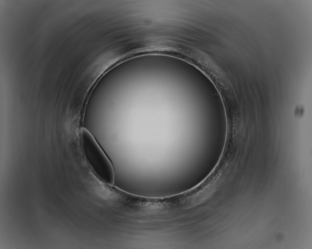 X0000101441177200807141259