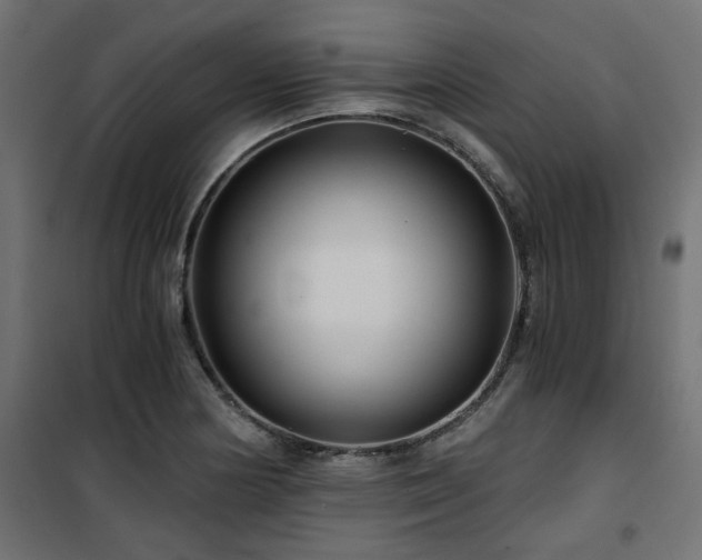 X0000101441178200807141259