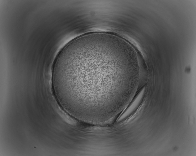 X0000101441179200807141258