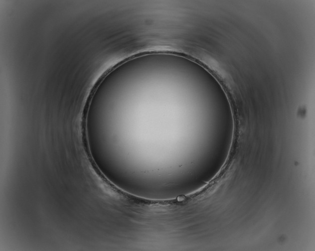 X0000101441181200807141258