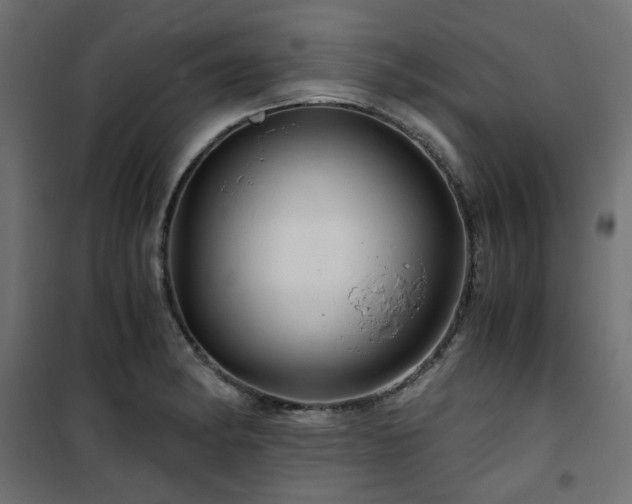 X0000101441182200807141258