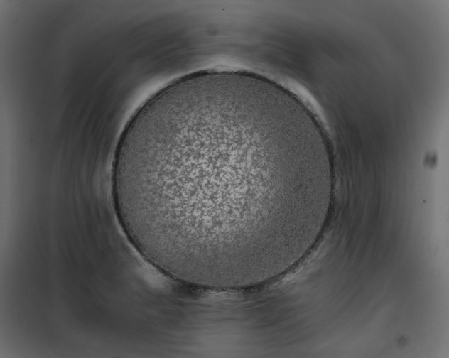 X0000101441183200807141258