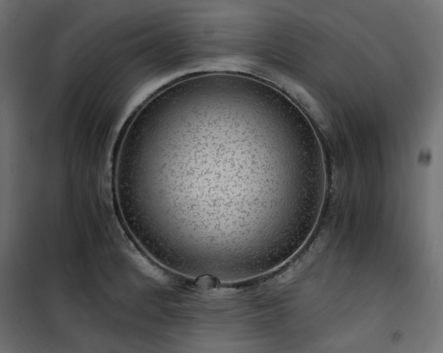 X0000101441184200807141258