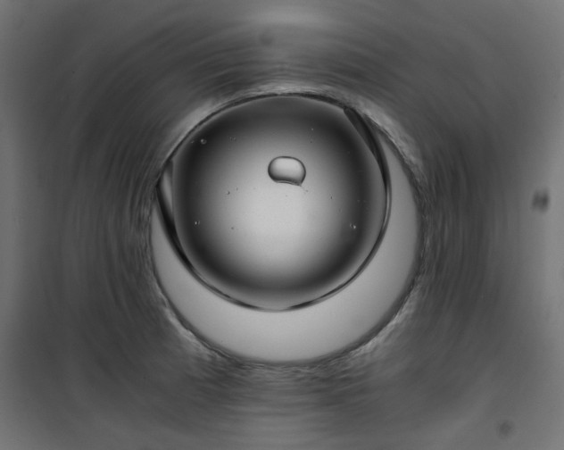 X0000101441185200807141258