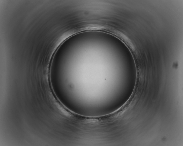 X0000101441186200807141258