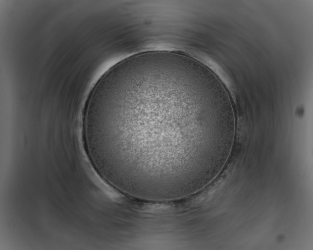 X0000101441187200807141258