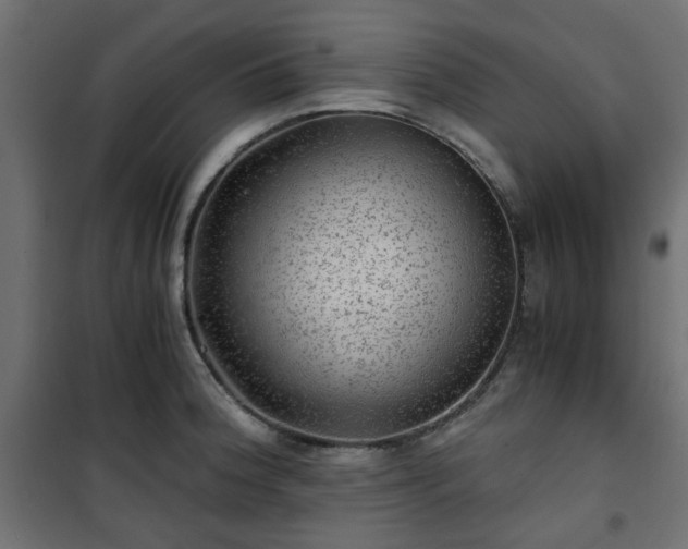 X0000101441188200807141258