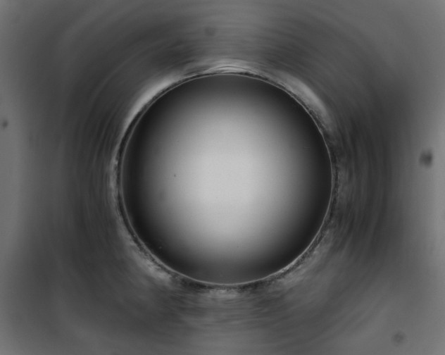 X0000101441190200807141258