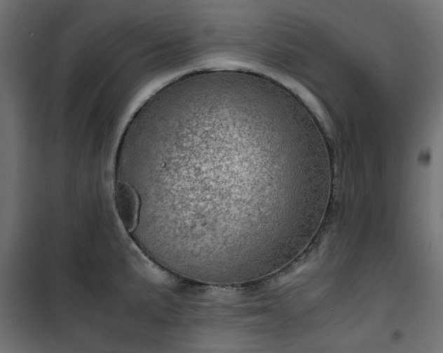 X0000101441191200807141258