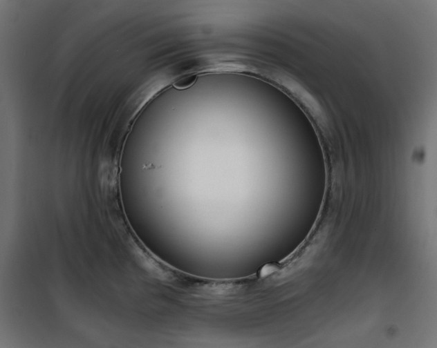 X0000101441193200807141258