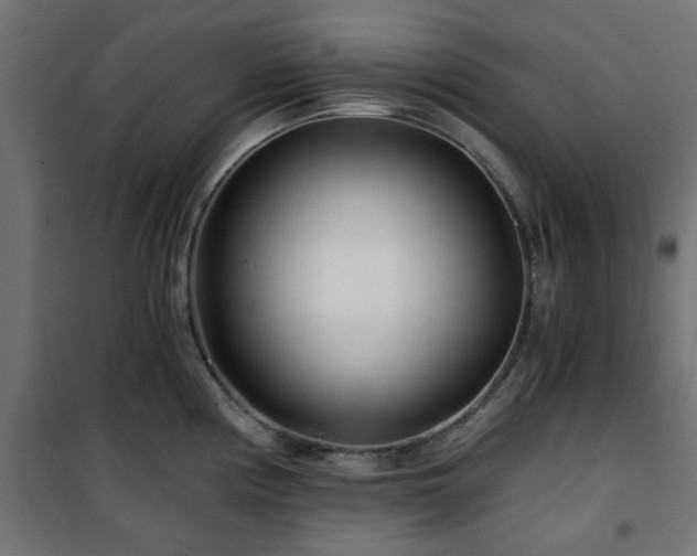 X0000101441194200807141258