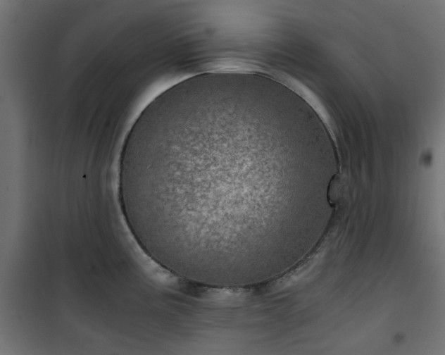 X0000101441195200807141258