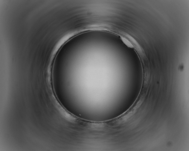 X0000101441196200807141258