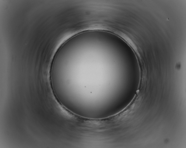 X0000101441197200807141258