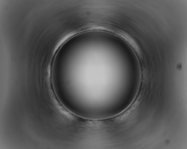 X0000101441198200807141258