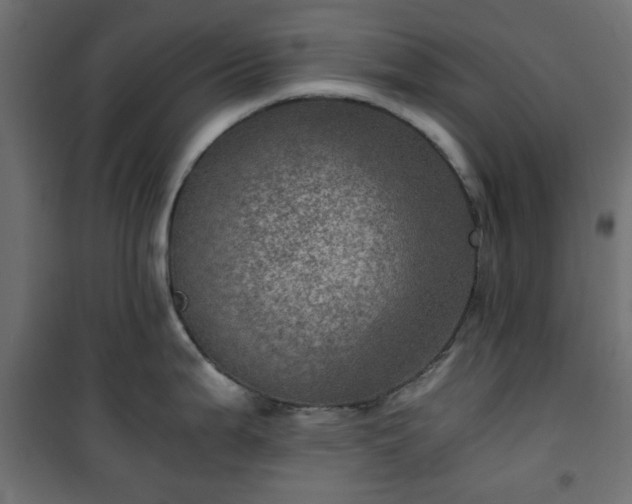 X0000101441199200807141258