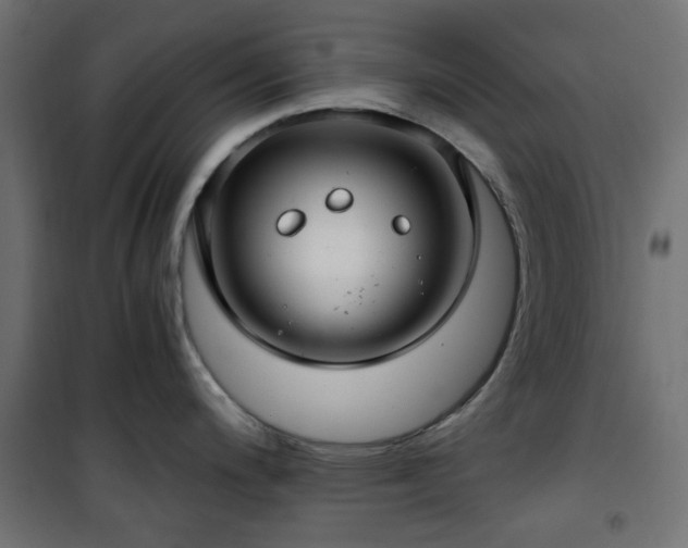 X0000101441200200807141258