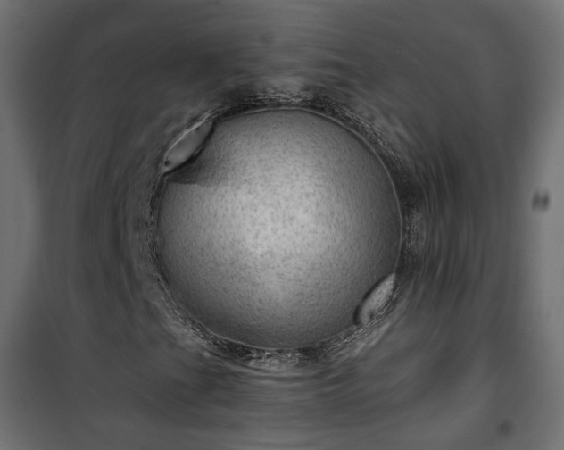 X0000101441201200807141258