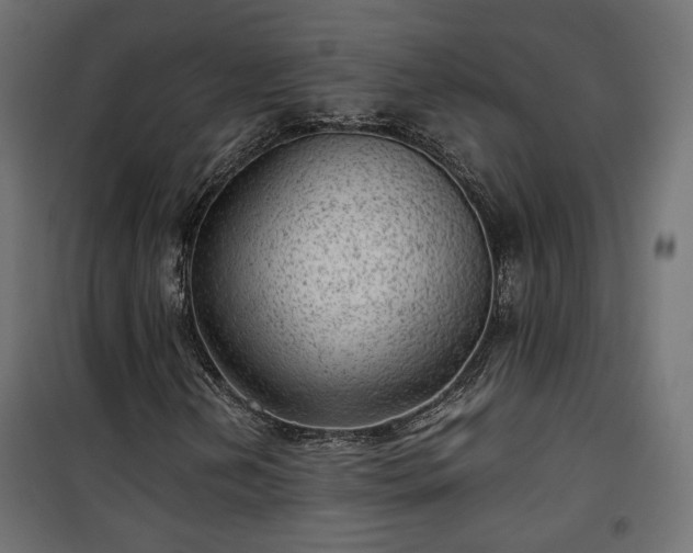 X0000101441202200807141258