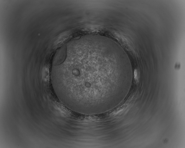 X0000101441203200807141258