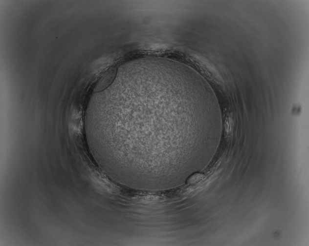 X0000101441204200807141258